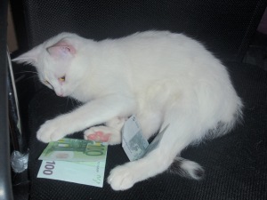 Maisi's money